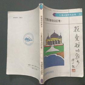 31卷大型作文丛书29我爱我的家乡 宁夏回族自治区卷