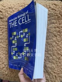 Molecular Biology of the Cell 英文原版 细胞的分子生物学 Bruce，Alberts