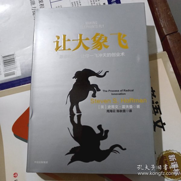 让大象飞:激进创新，让你一飞冲天的创业术