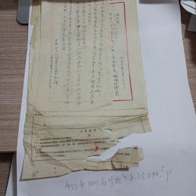 1955年四川高等招生委员会资料5页