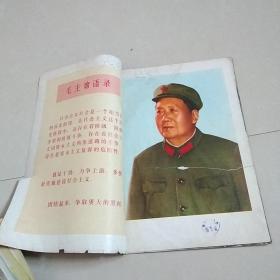 新疆画报1973.3