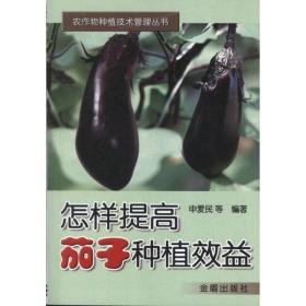 怎样提高茄子种植效益 种植业 申爱民 等