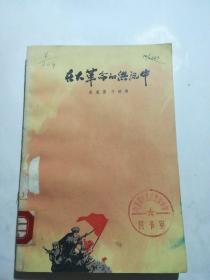 在大革命的洪流中