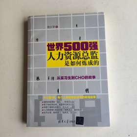 世界500强人力资源总监是如何炼成的：从实习生到CHO的故事