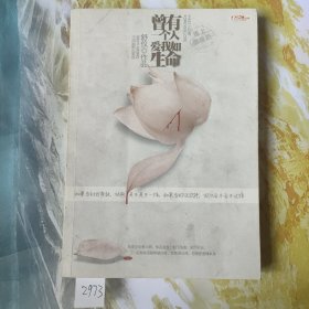 曾有一个人，爱我如生命