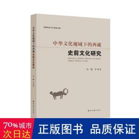 中华视域下的西藏史前研究 史学理论 作者 新华正版