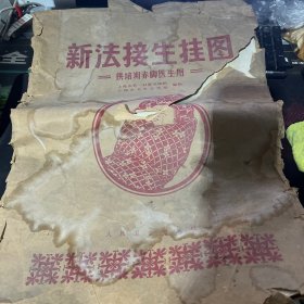 新法接生挂图（20张全）