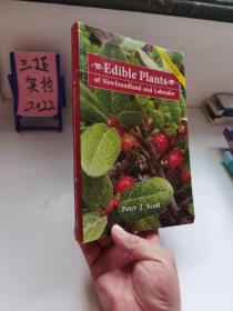 Edible Plants of Newfoundland and Labrador/可食用植物