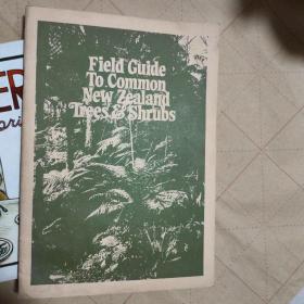 Field guide to common New Zealand Trees & shrubs