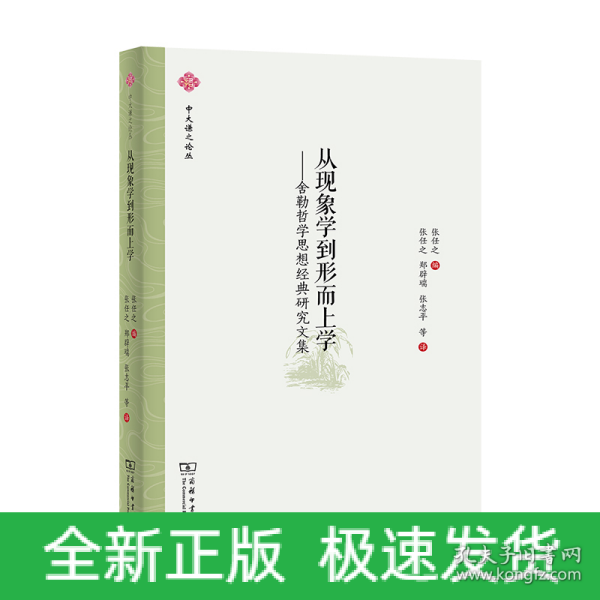 从现象学到形而上学——舍勒哲学思想经典研究文集(中大谦之论丛)