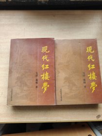 現(xiàn)代紅樓夢上下卷
