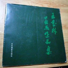 王书林中国画作品集