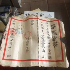 1955年 宁都县洛口区中心小学 毕业证书 校长 刘迪氏