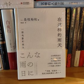 在这样的雨天（是枝裕和的跨文化创作手记，完整呈现一部电影的诞生！赠导演印签手绘书签）
