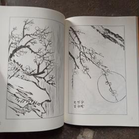 墨点字帖芥子园画谱（白话文版） 梅菊谱  正版梅花的画法学国画