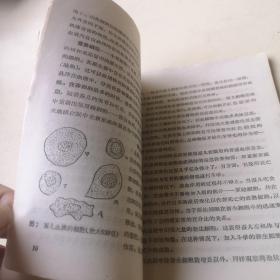 柞蚕（蚕桑专业用）；柞蚕疾病及其预防法；1958年桑、柞蚕大面积丰产经验【3本合售】