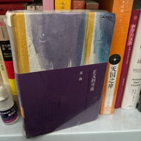 正义的可能