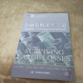 金融瞭望译丛·金融危机求生之道：金融危机、中产阶级和资本市场的发展