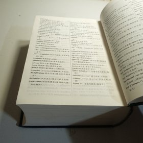 新编德汉词典