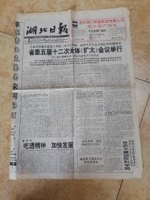 【老报纸】湖北日报1993年11月29日
