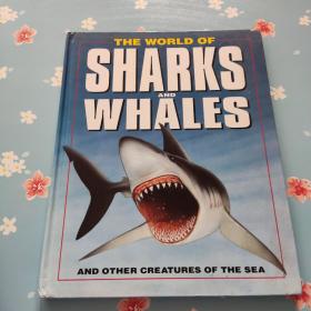 The world of sharks and whales