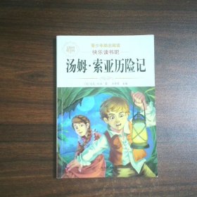 汤姆 索亚历险记
