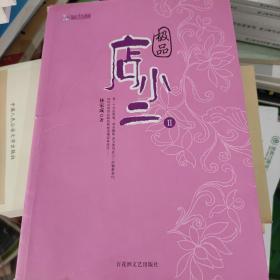 极品店小二