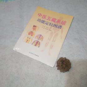 中医五藏系统功能定位图谱