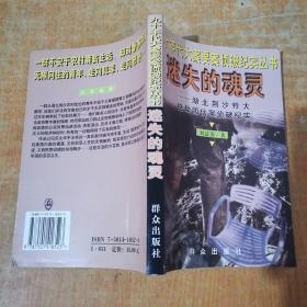 迷失的魂灵--湖北荆沙特大抢劫团伙案侦破纪实