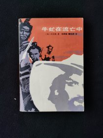 牛虻在流亡中（大32开）