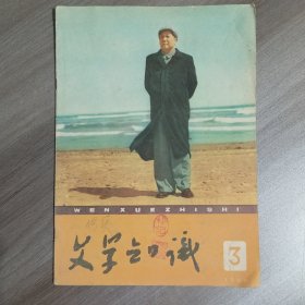 文学知识 1960年第3期