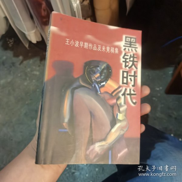 黑铁时代：王小波早期作品及未竟稿集