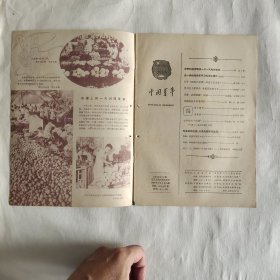 中国青年杂志 1963年第19期