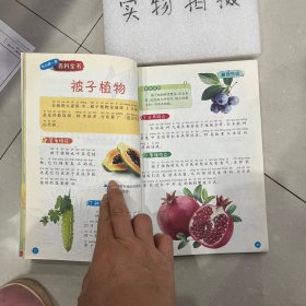 我的第一套百科全书（3170231Q00）植物乐园