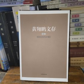黄翔鹏文存(下卷)