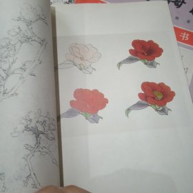 中国画自学丛书：《怎样画菊花》《怎样画梅花》《怎样画花卉》《怎样画兰花》四册合售