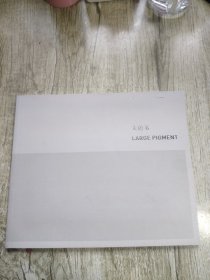 大色素 于艾君（艺术图册）