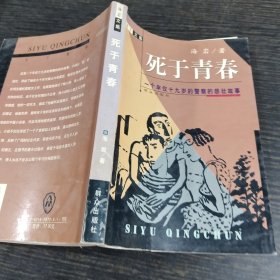 死于青春:一个年仅十九岁的警察的悲壮故事