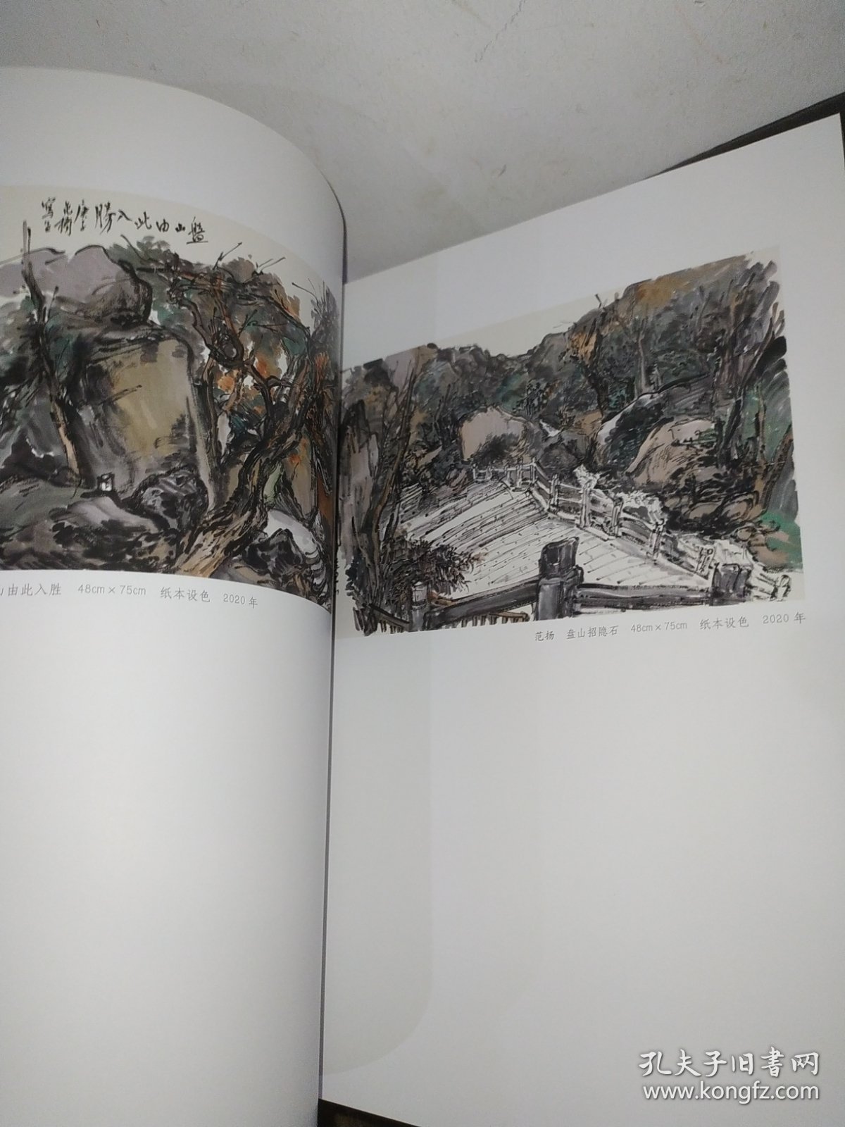 山光水色——名家写意山水