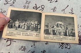 凤落梧桐