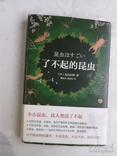 了不起的昆虫