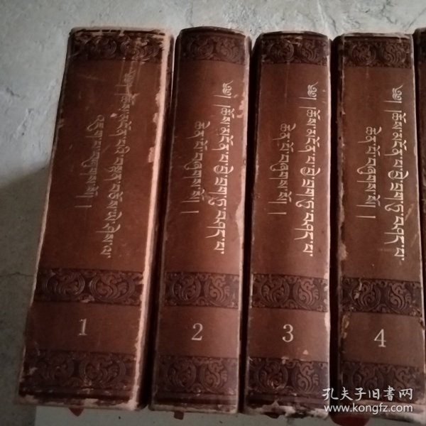 阿毗达摩大毗婆沙论. 全10卷 : 藏文（实物拍照
