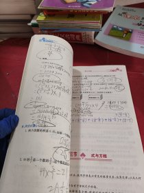 锦囊妙解 小升初总复习大全 小升初赢考集训：数学（第2版）