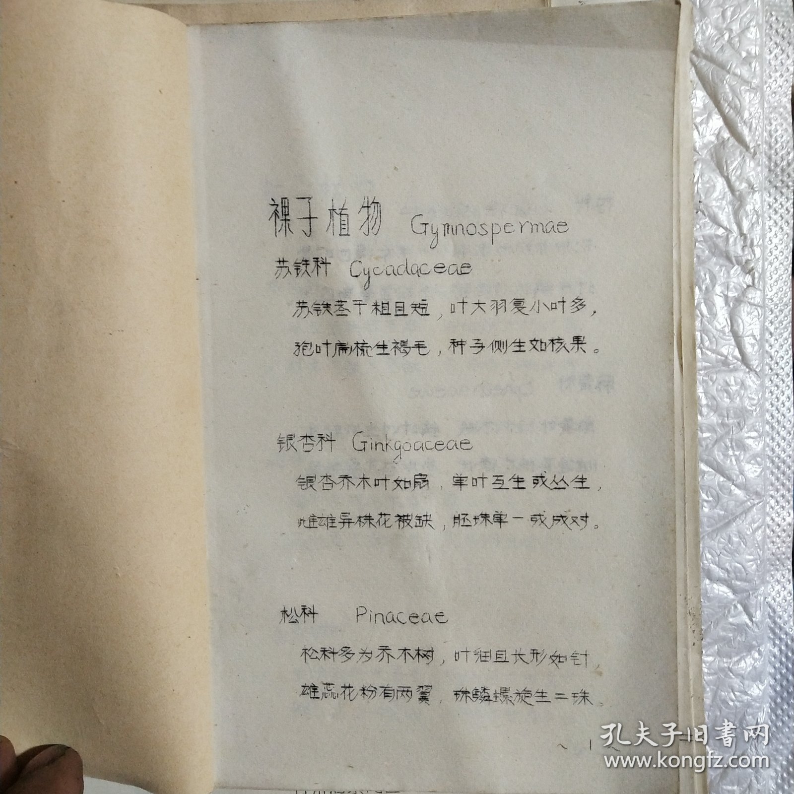 种子植物科特征口诀（油印本）