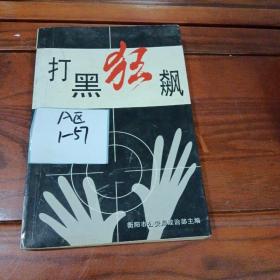 【当代纪实文学】《打黑 纪实》