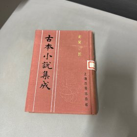 古本小说集成 剿闯小说 自然老化黄斑不影响阅读