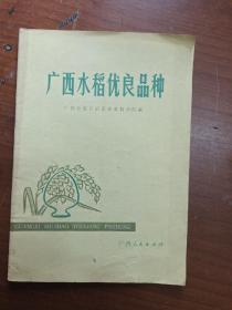 广西水稻优良品种