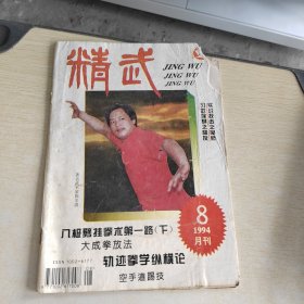 精武 1994 8