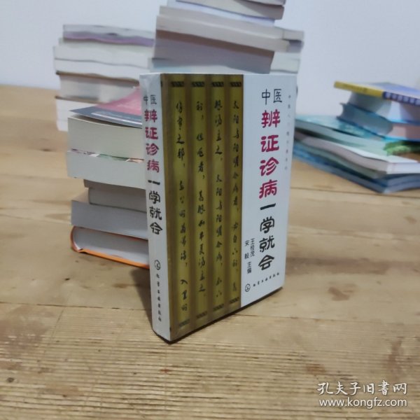 中医辨证诊病一学就会