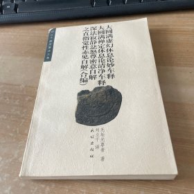 大圆满虚幻休息论妙车释大圆满禅定休息论清净车释.深法寂静忿怒尊密意自解之直指觉性赤见自解